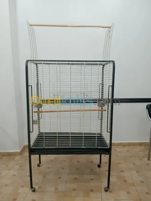 Cage perroquet assez  grande 