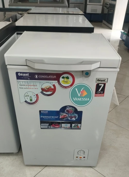 Congélateur Marque Géant 168L
