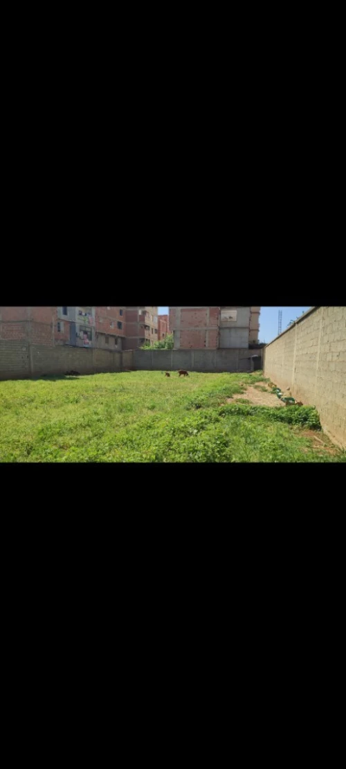 Vente Terrain Alger Bordj el kiffan