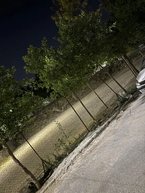 Vente Terrain Alger El biar
