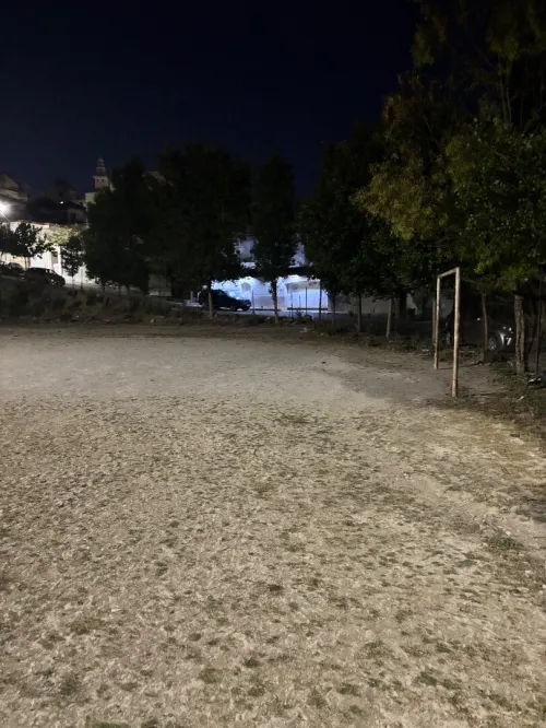 Vente Terrain Alger El biar