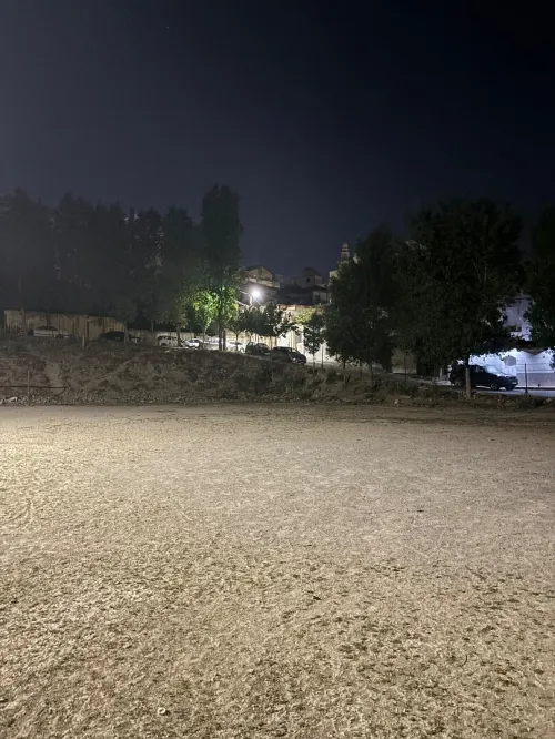 Vente Terrain Alger El biar