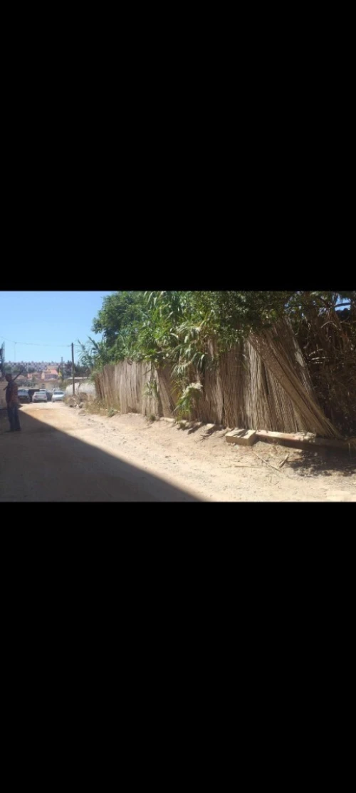 Vente Terrain Alger Mohammadia