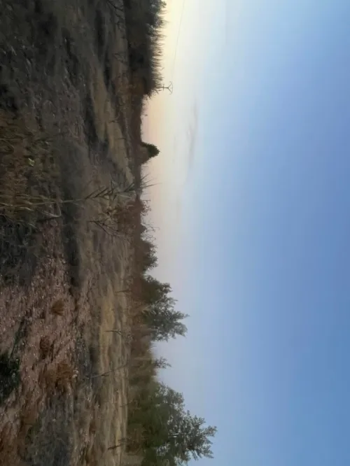 Vente Terrain Agricole Tiaret Ksar chellala