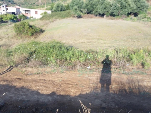 Vente Terrain Béjaïa Aokas