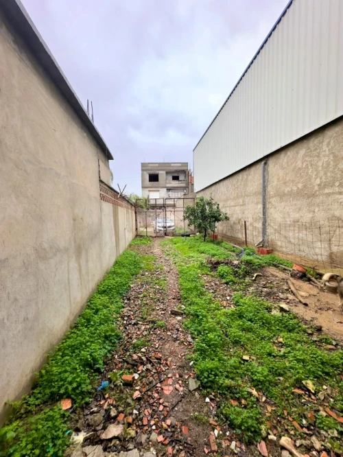 Location Hangar - Usine Blida Bouinan