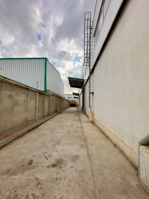 Location Hangar - Usine Blida Ouled el alleug