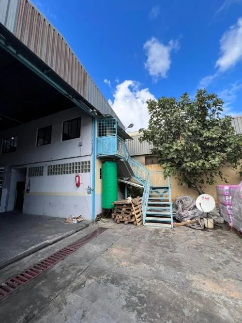 Location Hangar - Usine Blida Blida