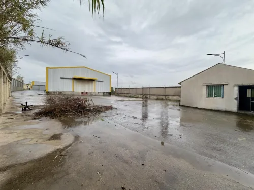 Vente Hangar - Usine Tipaza Kolea