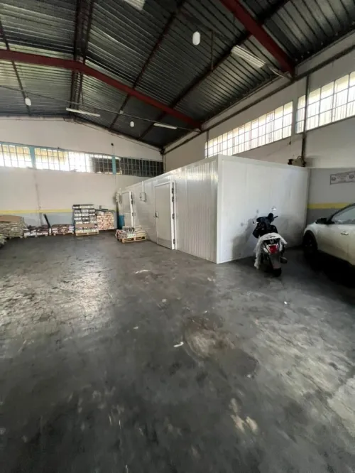 Location Hangar - Usine Blida Blida