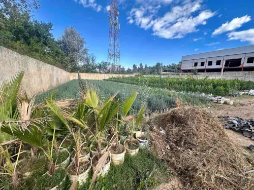 Vente Terrain Blida Bouinan