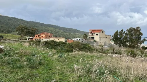 Vente Terrain Boumerdès Dellys