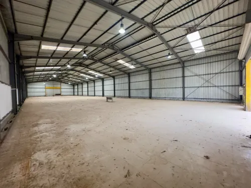 Vente Hangar - Usine Tipaza Kolea