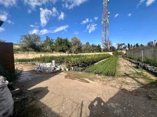 Vente Terrain Blida Bouinan
