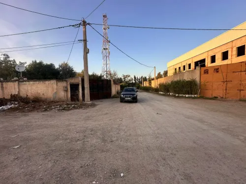 Vente Terrain Blida Bouinan