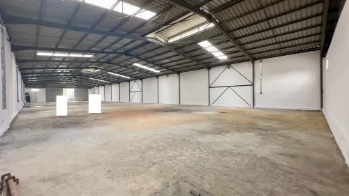 Location Hangar Blida Beni tamou