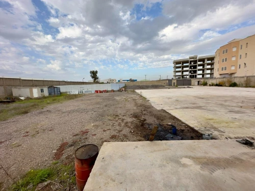 Location Hangar - Usine Blida Ouled el alleug