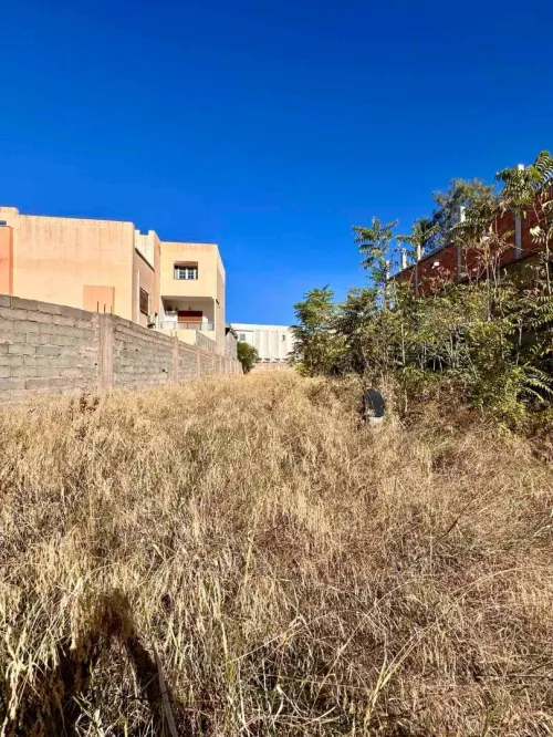 Location Terrain Blida Blida