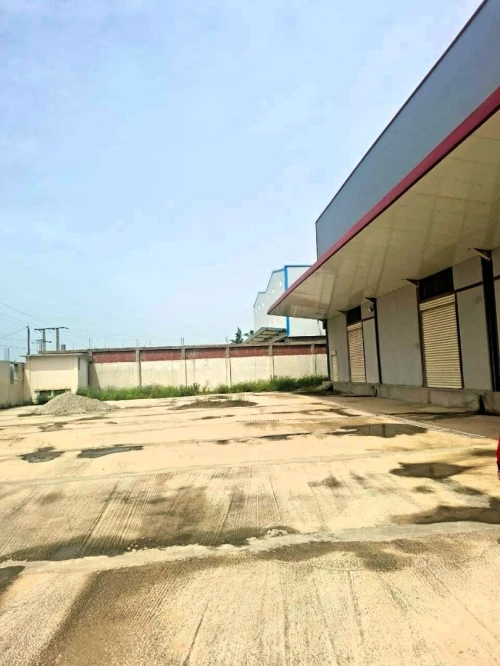 Location Hangar - Usine Blida Chiffa