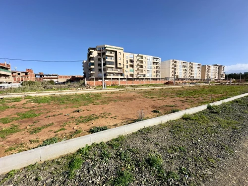 Vente Terrain Tipaza Bou ismail