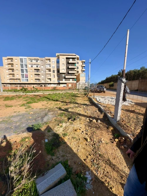 Vente Terrain Tipaza Bou ismail