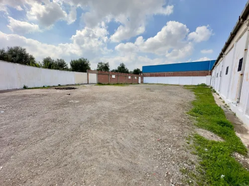 Location Hangar - Usine Blida Guerrouaou