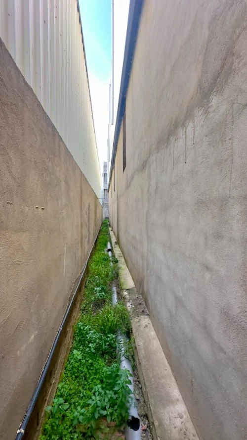 Location Hangar - Usine Blida Blida