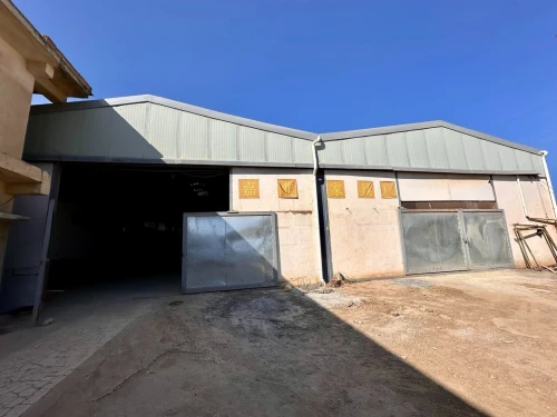 Location Hangar - Usine Blida Ouled el alleug