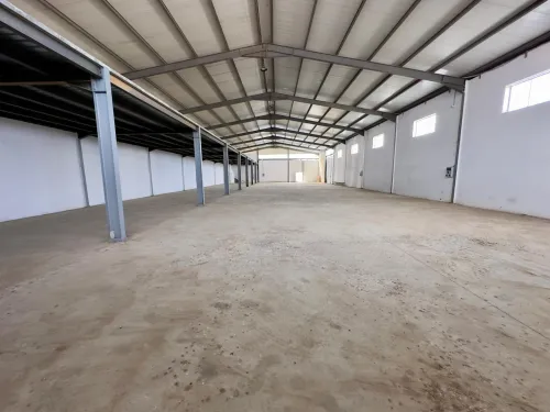 Location Hangar - Usine Alger Tessala el merdja
