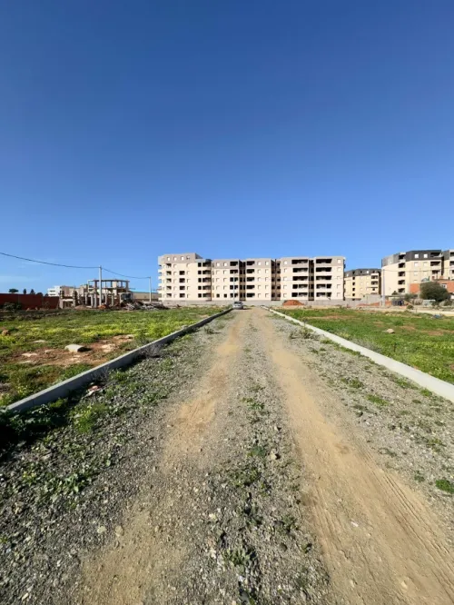 Vente Terrain Tipaza Bou ismail