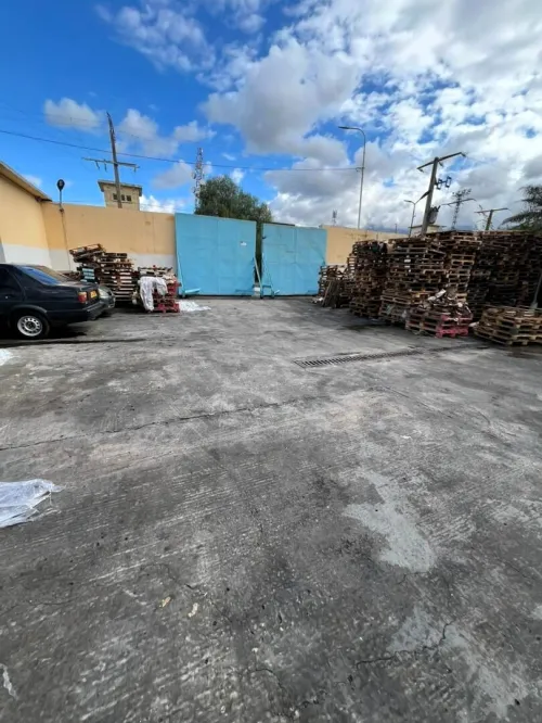 Location Hangar - Usine Blida Blida
