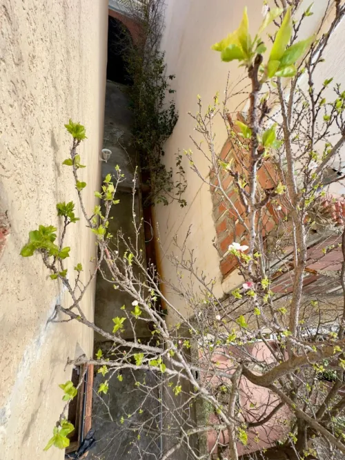 Location Villa Alger Bouzareah