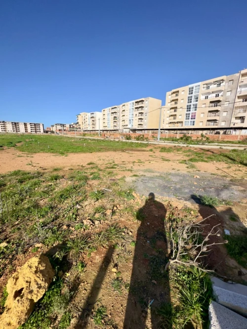 Vente Terrain Tipaza Bou ismail