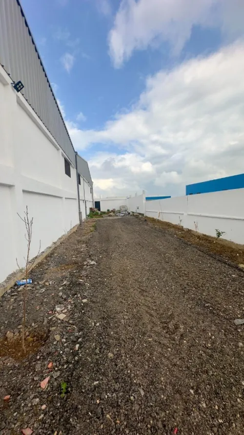 Location Hangar Blida Beni tamou