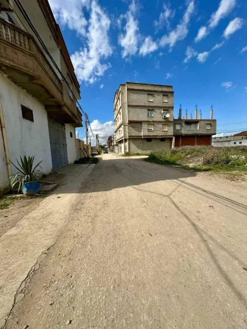 Location Hangar Alger Birtouta