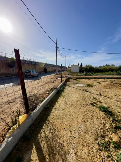 Vente Terrain Tipaza Bou ismail