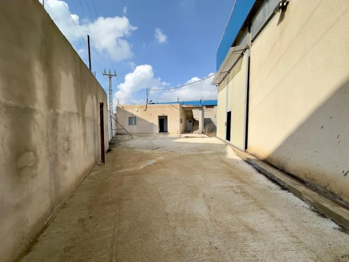 Location Hangar - Usine Alger Tessala el merdja