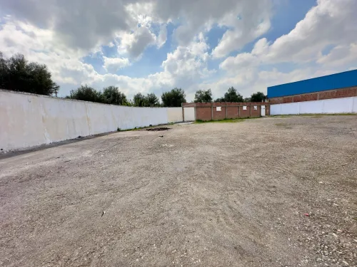 Location Hangar - Usine Blida Guerrouaou