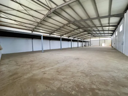Location Hangar - Usine Alger Tessala el merdja