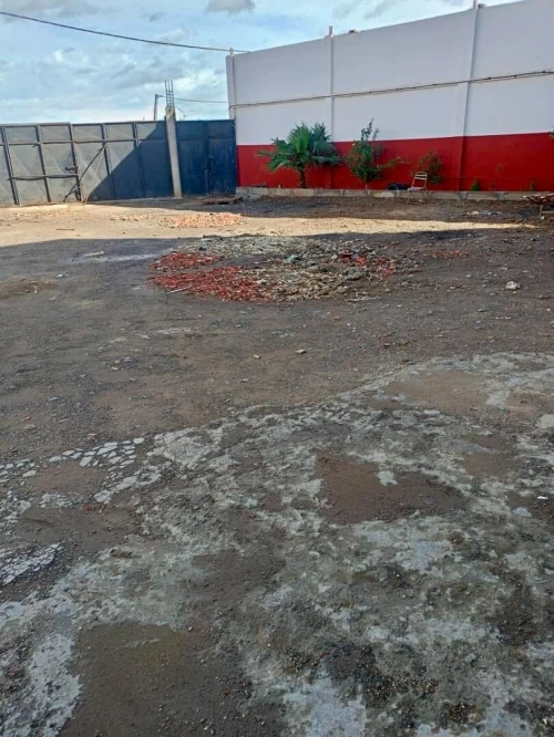Location Hangar - Usine Blida Chiffa