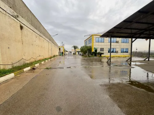Vente Hangar - Usine Tipaza Kolea