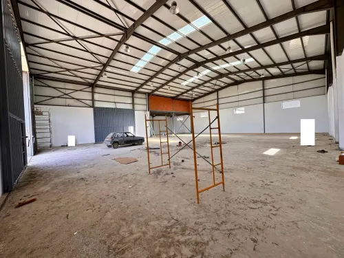 Location Hangar - Usine Alger Ouled chebel