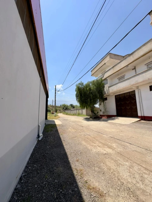 Location Local Blida Chiffa