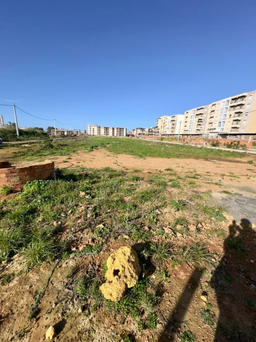 Vente Terrain Tipaza Bou ismail