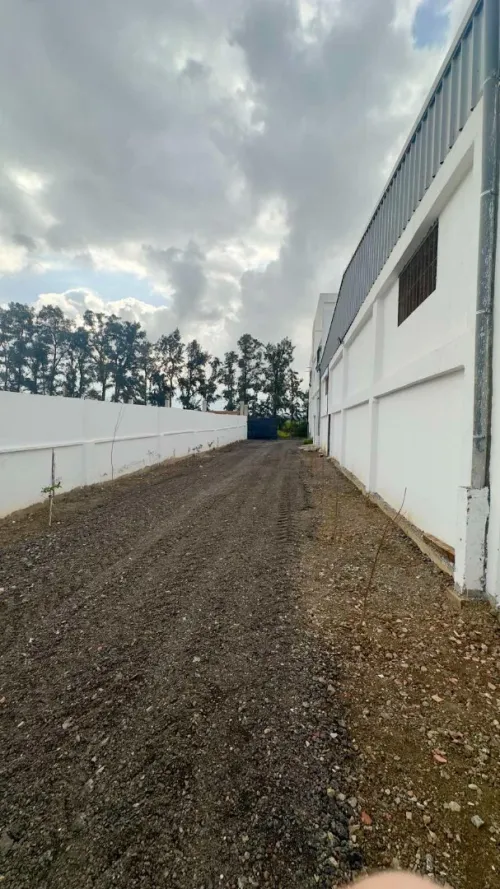 Location Hangar Blida Beni tamou
