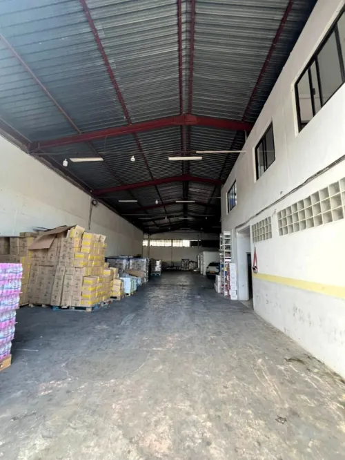 Location Hangar - Usine Blida Blida
