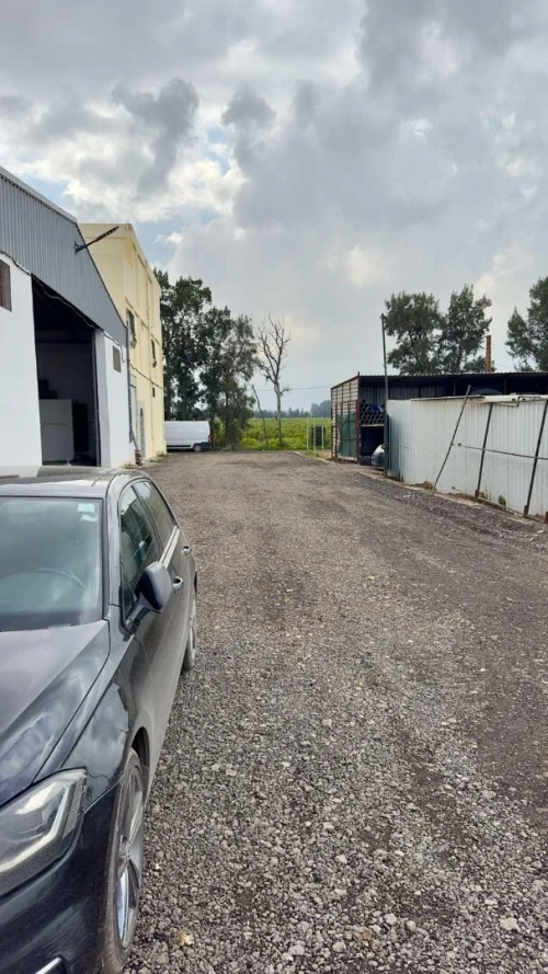 Location Hangar Blida Beni tamou