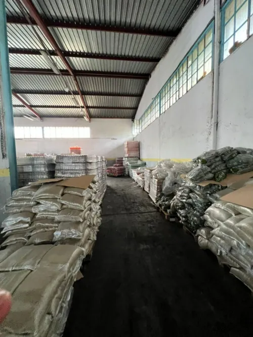 Location Hangar - Usine Blida Blida