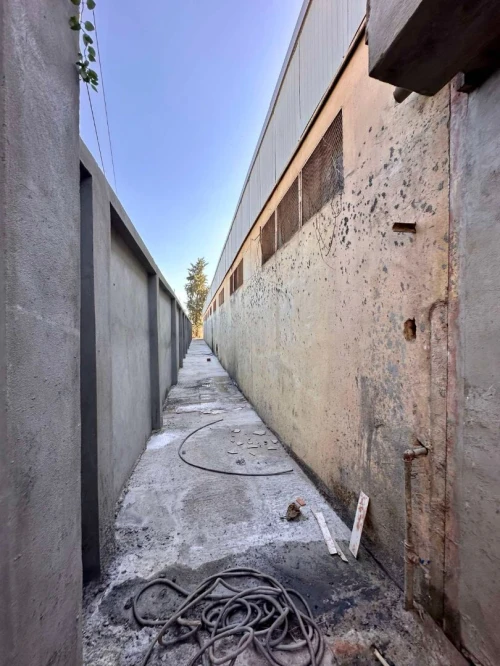 Location Hangar - Usine Blida Ouled el alleug