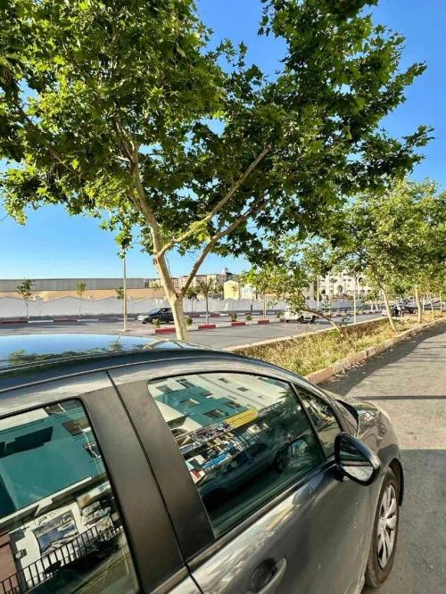 Vente Appartement F3 Tipaza Tipaza